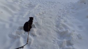 Крепкий мороз на улице.