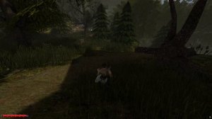 Готика 2: dark saga Ферокийцы и пираты(часть 22)