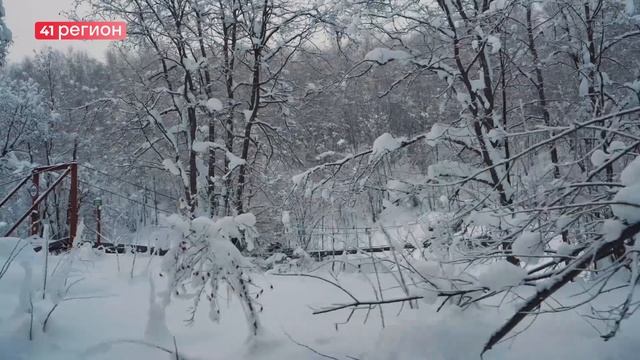 «ЗИМНЯЯ СКАЗКА»: КРОНОЦКИЙ ЗАПОВЕДНИК ОТКРЫЛ ЗИМНИЙ ТУРСЕЗОН НА КАМЧАТКЕ • НОВОСТИ КАМЧАТКИ смотреть онлайн