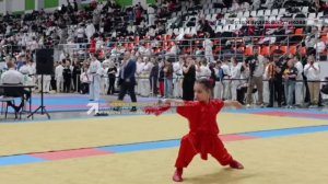 Ушуисты завоевали 8 медалей на Международной Спартакиаде боевых искусств