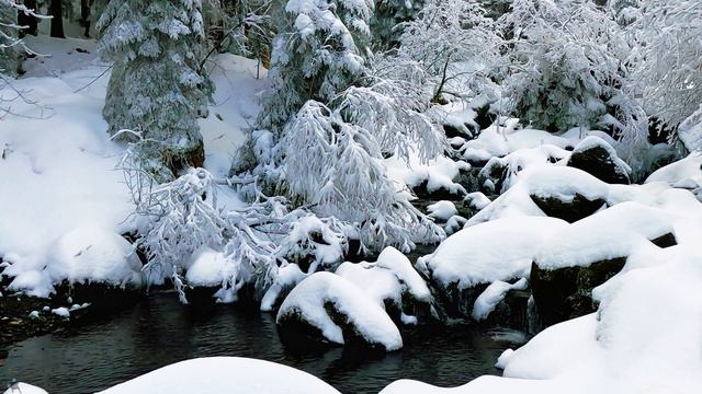 Невероятная зимняя природа. Видео в формате 4k. смотреть онлайн