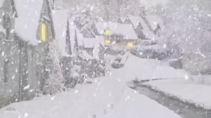 Звуки природы  Красивый Снегопад в деревне .Релакс видео.