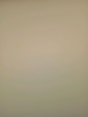 новая рубрика.