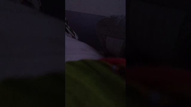 что происходит у меня дома во время трансляции смотреть онлайн