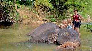 Маленькие дочки и слоны: самый добрый день в Шри-Ланке