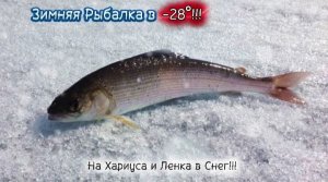 Зимняя Рыбалка в Суровых Условиях конца Декабря в - 28°на Хариуса и Ленка!!! Где мы видали Фазанов!