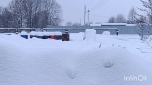 15-01-2026.  Смотрю и плакать хочется ❄️❄️❄️😩