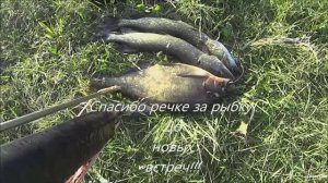 Подводная охота -лещ 3 кг ,щуки и спасение раков из ловушки .