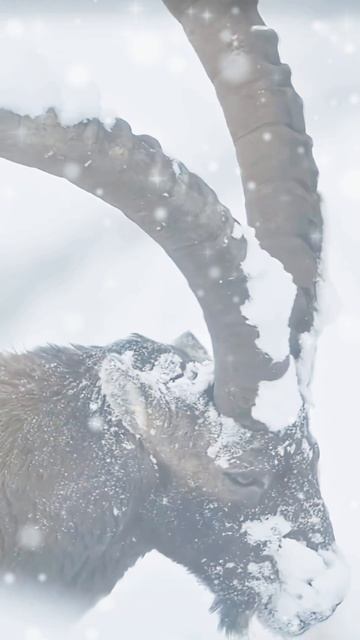 Горная вершина смотреть онлайн