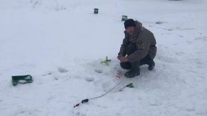 поимка форели на икру