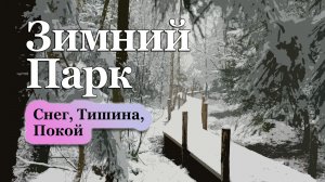 20 минут в Зимнем Парке | Музыка для Души с Шёпотом Ветра 🌲❄️🌲
