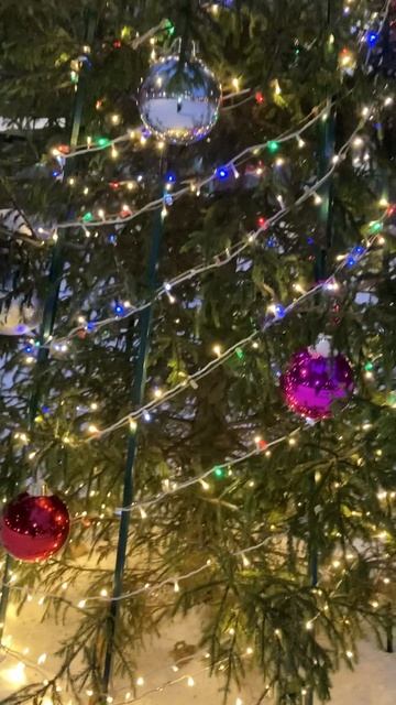 Вот и наступил Старый Новый год. смотреть онлайн