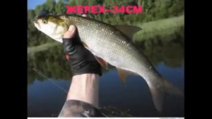 Норма вылова рыбы 2026 Штраф за рыбалку 2026 Размер рыб для вылова Рыболовные правила 2026