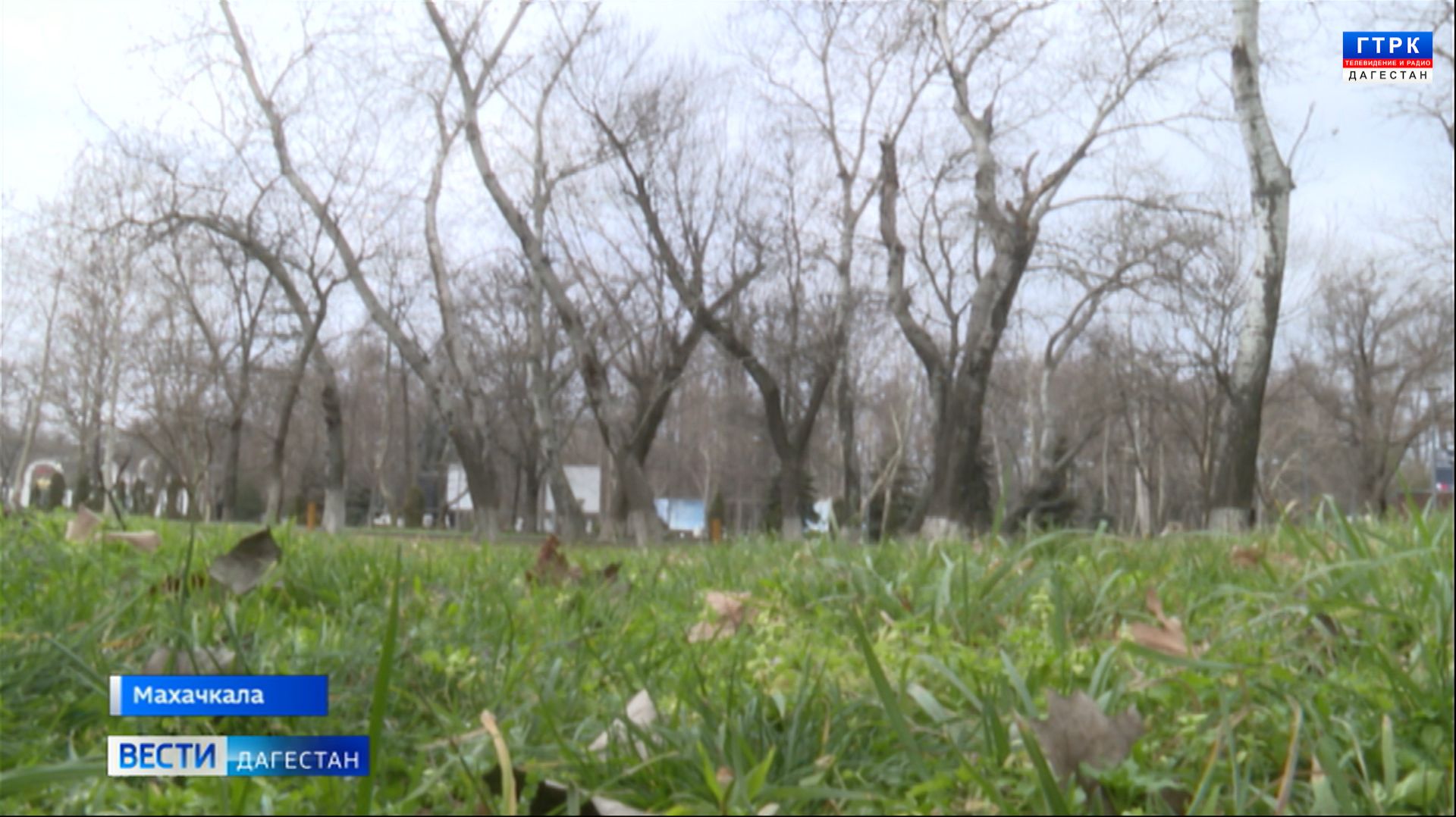 Дагестанские синоптики предупреждают жителей о серии температурных качелей в середине января смотреть онлайн