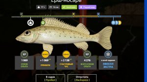 Ночная охота на ершей | РР4