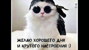 Разговоры с коллекторами 110