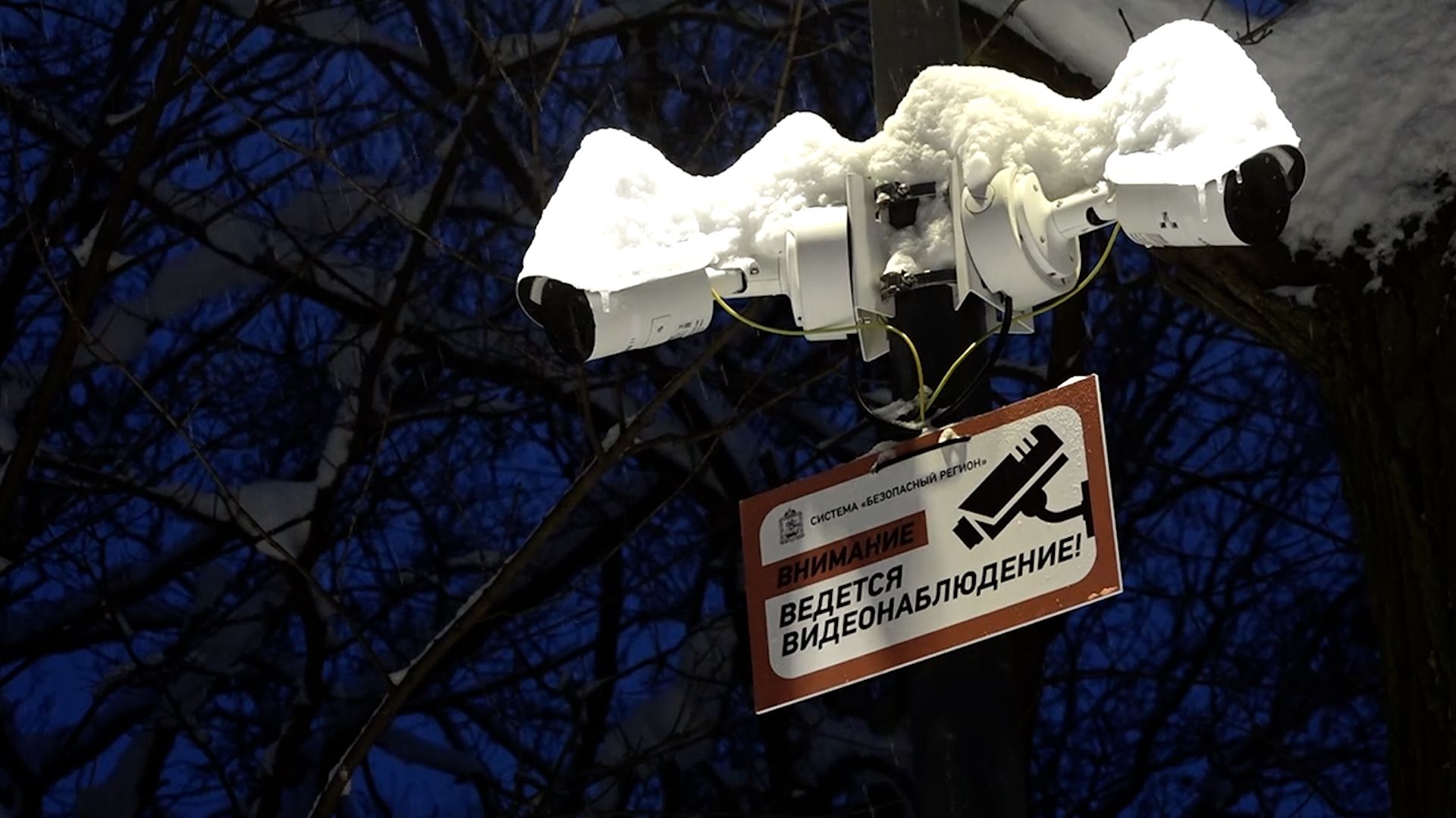 «Чемпион» - точка спортивного притяжения смотреть онлайн