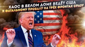 Блохи, Гренландия и ковровые бомбардировки: как США в истерике ищут свою гибель, забыв помыть голову