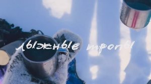 ЛЫЖНЫЕ ТРОПЫ | КАТАЕМСЯ ПО ЛЕСУ И БОЛТАЕМ🌲