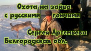 Охота на зайца с русскими гончими Сергея Артемьева Белгородская обл.#охотасгончей#соб #топ#hunting