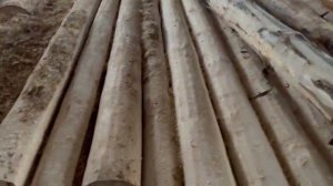 Представляем вашему вниманию сруб будущего дома 5 на 6 метров!