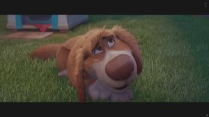 His Dog EXPOSED on the News for Having WHAT!  Charlie the Wonderdog Clip 4K HDR