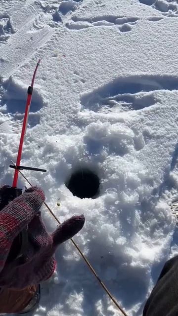 Карась Зимний смотреть онлайн