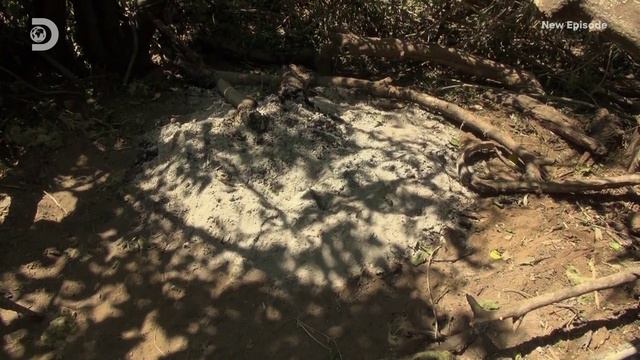 Голые и напуганные 15 сезон 13 серия (реалити-шоу, 2022) смотреть онлайн