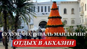 2026. АБХАЗИЯ. зимний фестиваль «Мандарин» ОТДЫХ в АБХАЗИИ