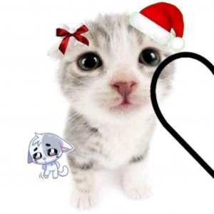 МОЙ ПЕРВЫЙ СТРИМ