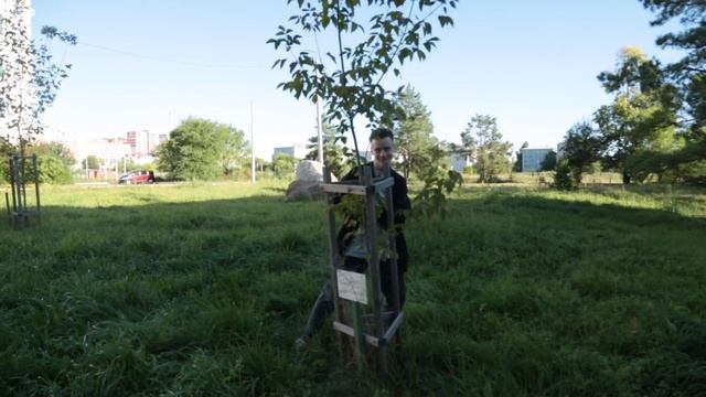 Репортаж. смотреть онлайн