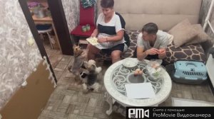 Меняю питание👌семейный вечер🫶есть муж на все случаи жизни☝️❤️_🔥💃