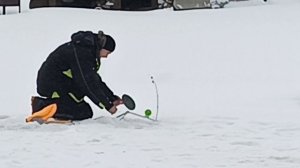 VID_20260116_114105_604