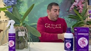 Поддержание иммунитета орхидей зимой.