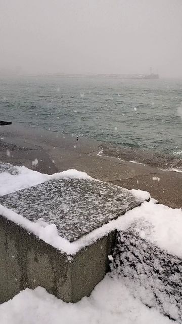 г. Ялта. А снег идёт... Набережная. 16 января 2026 года. смотреть онлайн