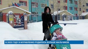 В 2025 ГОДУ В МУРАВЛЕНКО РОДИЛОСЬ БОЛЬШЕ МАЛЬЧИКОВ