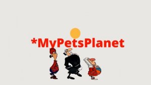 Чем покормить муравьев тетрамориум бикаринатум.  Доктор Ливси.