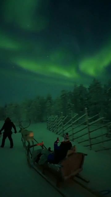 Полярное сияние в Рануа (Лапландия, Финляндия, январь 2026).