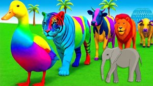 Мультики для детей. Веселые Испытания для диких животных, где слон? Мультфильмы для малышей.