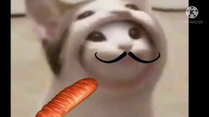 страдаем фигней