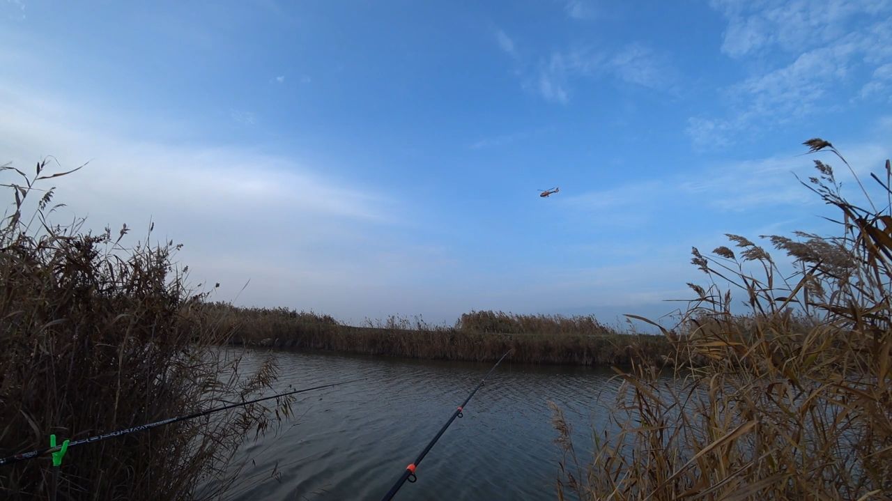 Рыбалка. Ноябрь 2025. Приморско Ахтарск. смотреть онлайн