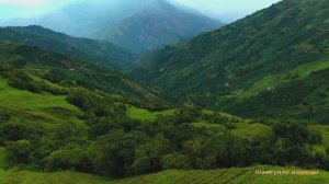 #Коран#аль-Имран#СамыеКрасивыеМеста#Отдых##Ислам#Коран#аль-Имран'#Миншавий #4кВидео#21часть#