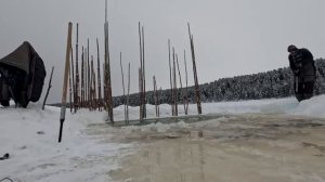 Традиционный промысел малочисленных народов севера это всегда тяжёлый труд . Улов отдал деду.