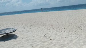 Остров Камаду, Мальдивы, январь 2026 (Kamadhoo, Maldives, January 2026)