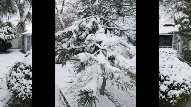 Анапа 16.01.2026 ✅📌 📍 смотреть онлайн