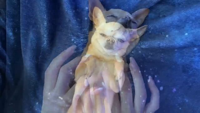 ASMR Mouth Sound for you смотреть онлайн