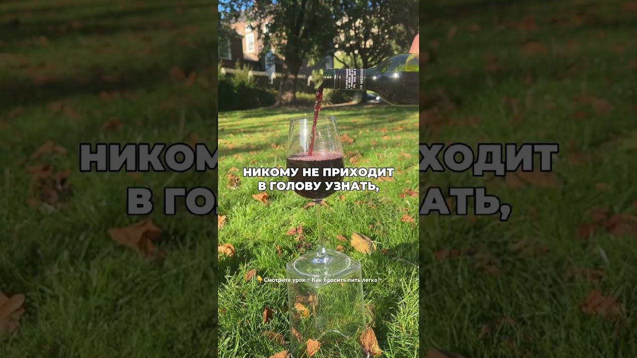 Самая изощренная ложь про алкоголь #броситьпить #лечениеалкоголизма смотреть онлайн