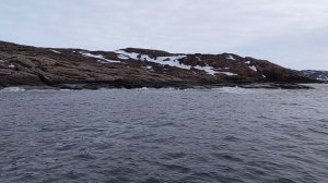 Губа Териберская