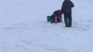 поимка форели на жерлицу