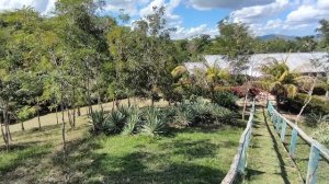 Обед в провинции.... 14.01.26.